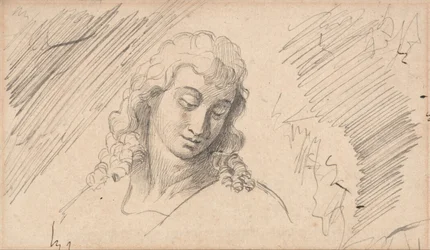 Étude de la tête d